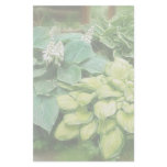 Just One More Hosta! Personalized Stationery