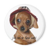just one of those days!  Magnet magnets
