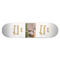 just passing through skateboards