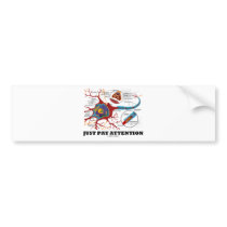 Just Pay Attention (Neuron / Synapse) Bumper Sticker