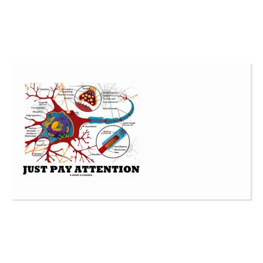 Just Pay Attention (Neuron / Synapse) Business Cards (front side)