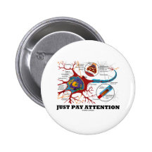 Just Pay Attention (Neuron / Synapse) Pinback Buttons