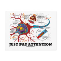Just Pay Attention (Neuron / Synapse) Post Cards