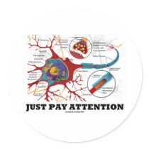 Just Pay Attention (Neuron / Synapse) Round Sticker