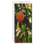 Just Peachy Customized Rack Card