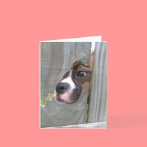 Just Peeking In cards by DonnaSK Just Peeking In cards