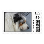 Just Perfect Stamps