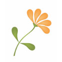 Just Petals t-shirts