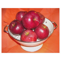 Just Picked Apples flyers by Incatneato Just Picked Apples flyers