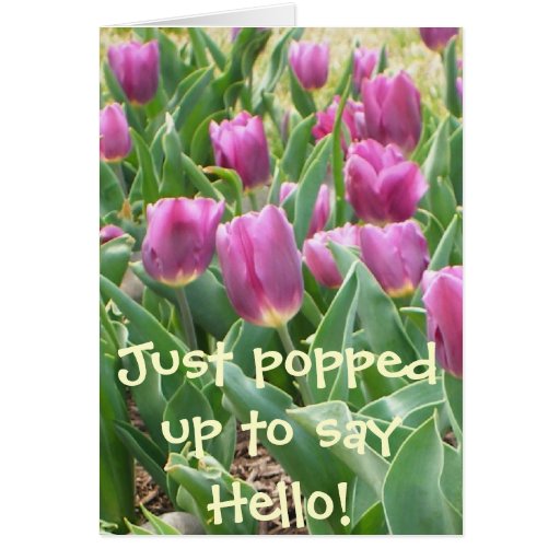 JUST POPPIN UP TO SAY HELLO! CARD | Zazzle