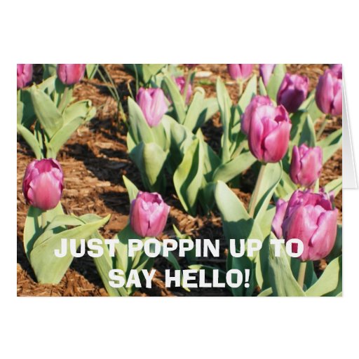 JUST POPPIN UP TO SAY HELLO! GREETING CARDS | Zazzle