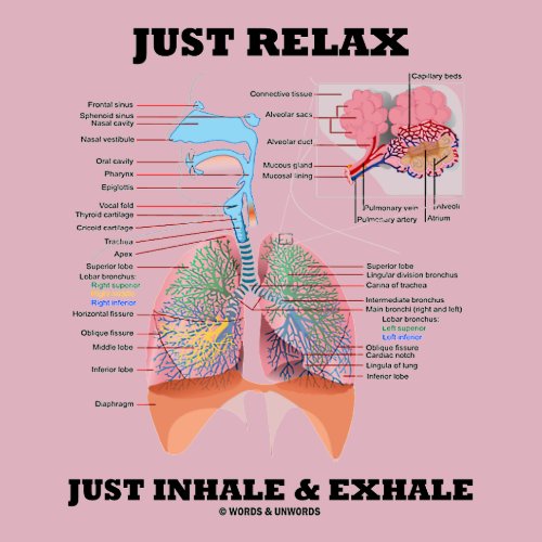 Just Relax Just Inhale and Exhale (Respiratory) shirt