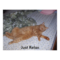 Just Relax posters