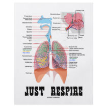 Just Respire Flyers