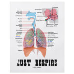 Just Respire flyers