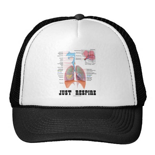Just Respire Mesh Hat