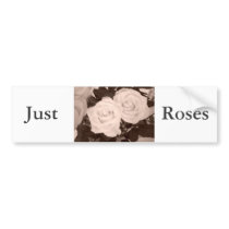 Just Roses bumper stickers by JunipersWedding Just Roses bumper stickers