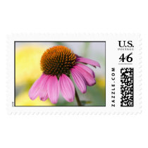 just say so postage