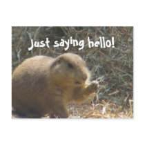 Just saying hello! Prairie Dog Postcard by krichard08 Just saying hello! Prairie Dog Postcard