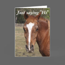 just_saying_hi_horse_greeting_card-p137949108962228549b78pm_210.jpg