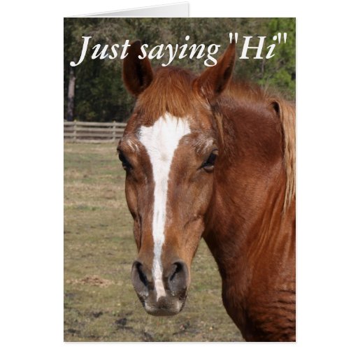 Just saying "Hi" Horse Greeting Card Zazzle