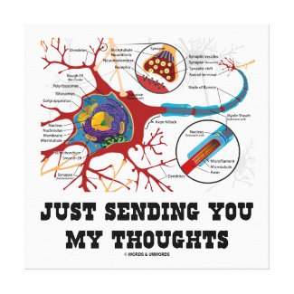 Just Sending You My Thoughts Neuron Synapse Canvas Print