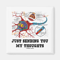 Just Sending You My Thoughts (Neuron / Synapse) magnets