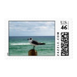 Just Sitting Stamp