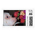 Just Smell the Flowers postage
