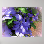 Just Some More Flowers posters