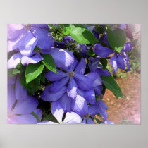 Just Some More Flowers Posters