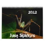 Just Spiders Calendar, 2012