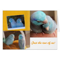 Just the two of us Parrotlet Birds Greeting Card
