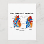 Healthy+heart+diagram