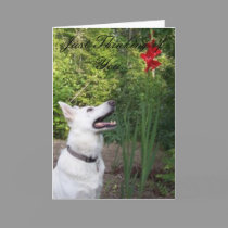 Just Thinking of You... Greeting Card cards