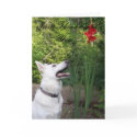 Just Thinking of You... Greeting Card