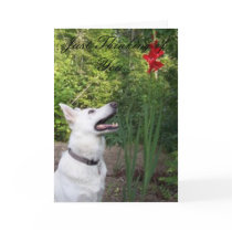 Just Thinking of You... Greeting Card by coastalwgs Just Thinking of You... Greeting Card