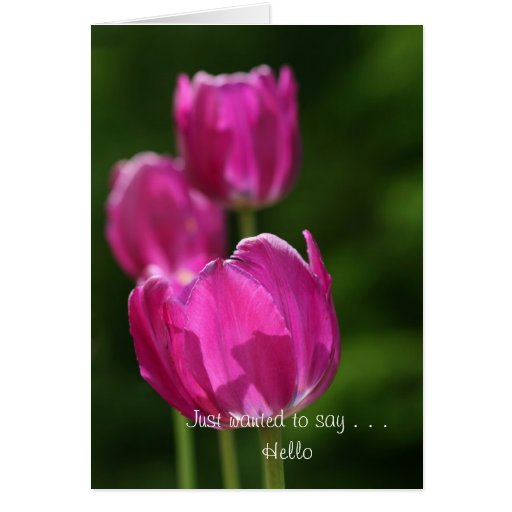 Just to say . . . Hello Greeting Card Zazzle