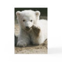 Just to say Hi cards by Minou1 Just to say Hi cards