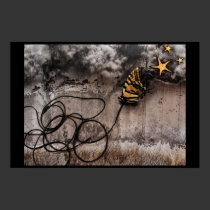 just to touch the stars posters by HAJenkins just to touch the stars posters