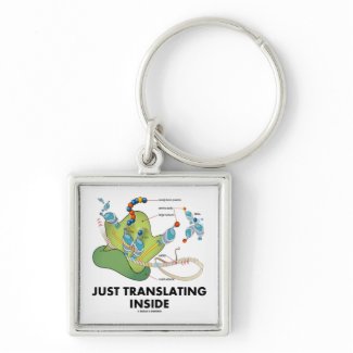 Just Translating Inside (Protein Synthesis) Keychain