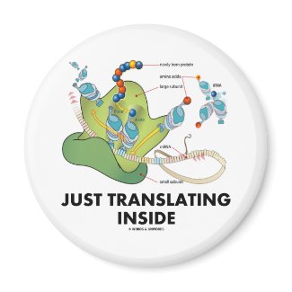 Just Translating Inside (Protein Synthesis) Fridge Magnet