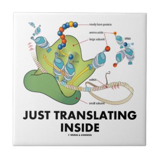 Just Translating Inside (Protein Synthesis) Tile
