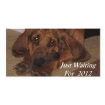 Just Waiting on 2012 photo cards