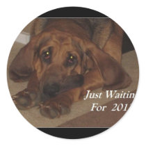 Just Waiting on 2012 stickers