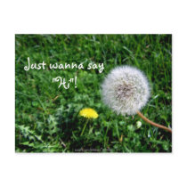 Just wanna say "Hi"! postcards