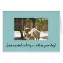 Just wanted to bring a smile to your day cards