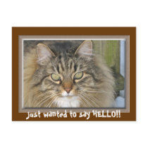 Just wanted to say HELLO!! postcards