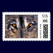 Just Watching Wolf Eyes, Postage Stamps