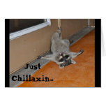 JustChillaxin......What about you??? Cards